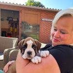 Doris de Drentse boxer - @dorisdeboxer - Instagram