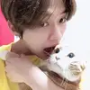 meow - @dorislitterbox - TikTok