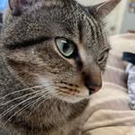 Doris Boykin - @boykin2324 - Instagram