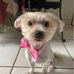 Doris M Boykin - Facebook