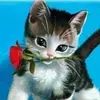 doris bracho - @dorisbracho291 - TikTok