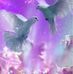 Doris Braddock - Facebook
