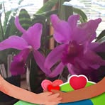 Doris Braithwaite - Facebook