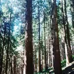 Doris Brakefield - @brakefield_doris - Instagram