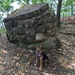 Doris Brandner - @brandnerdr - Instagram