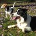 Doris Brauer - Facebook