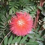 Doris Brauer - @doris.brauer.90 - Instagram