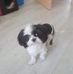 Doris Brauer - Facebook