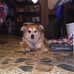 Doris Bray - Facebook