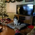 Doris Bray - @doris.bray.98 - Instagram