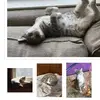 Muchiro_is_cute - @doristhibeault - TikTok