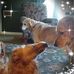 Doris Breen - Facebook
