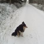 Doris - @doris.brehmer - Instagram