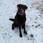 Doris Brenner - Facebook