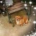 Doris Brock - Facebook