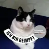 dorisbraunke - @dorisbraunke - TikTok