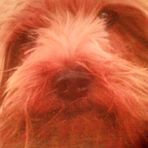 Doris Buckner - Facebook