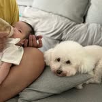 👶➕🐶 - @doris__buddy - Instagram