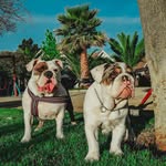 Doris🌼Budda🔥 - @doris.budda - Instagram