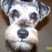 Doris Bumgarner - Facebook