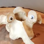 Dorie Burdett Pickle - @picklelovesnature - Instagram