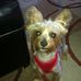 Doris Byrd - Facebook