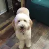 Doris Caldwell - @doris.caldwell6 - TikTok