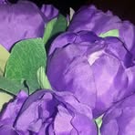 Doris Camarillo - Facebook