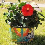 Doris Kitchings Cameron - @dkcam1016 - Instagram