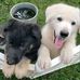 Doris Canales - Facebook