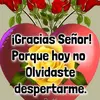 Doris Cando - @doris.cando - TikTok
