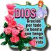 Doris Cantor - Facebook