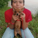 Doris Cantor - @doris.cantor.31 - Instagram