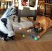 Doris Carbaugh - Facebook