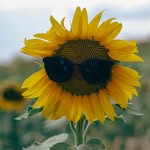 Doris Carlson - @doriscarlson952 - Instagram