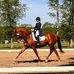 Doris Carlson - Facebook