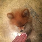 DorisCarlson - @doris_carlson_962092 - Instagram