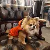 dorinacarlucci - @dorinacarlucci - TikTok