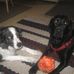 Doris Carman - Facebook