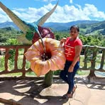 Doris Carmen Mays - Facebook