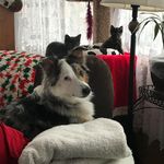 Doris Boone-Carney - @boonecarney - Instagram