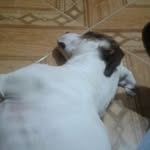 Doris Casas - @doris.casas.79 - Instagram