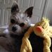 Doris Cassidy - Facebook