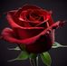 Doris Catalan - Facebook