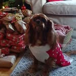Doris - @doris_cavalier - Instagram