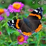 Doris Cavallo - @doriscavallo0 - Instagram
