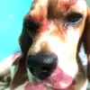 Doris celis - @doris.celis - TikTok