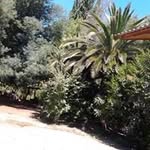 Doris Celis - @doris.celis.50 - Instagram