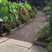 Doris Duke Center - Facebook