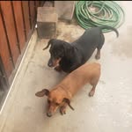 Doris Cerda Silva - @doriscerdasilva - Instagram